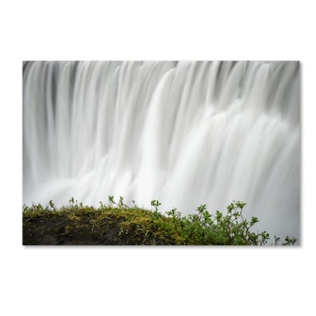 Philippe Sainte-Laudy 'Float' Canvas Art,30x47